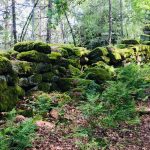 Der Berg der Göttin – mystischer Odilienberg am SA 15. und SO 16. August 2026