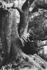 FRAGEN & ANTWORTEN – kostenfreie Einladung und Geschenk an dich! – Bild 4